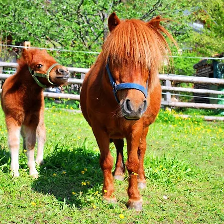 Appartamento Obergruberhof *