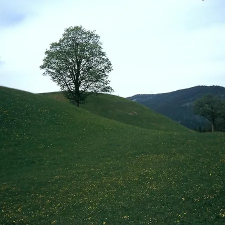 דירה Obergruberhof *