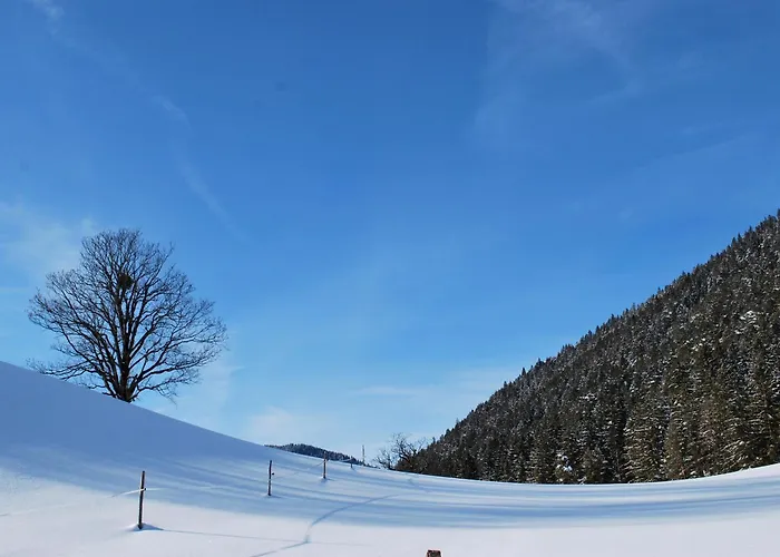 Apartamento Obergruberhof