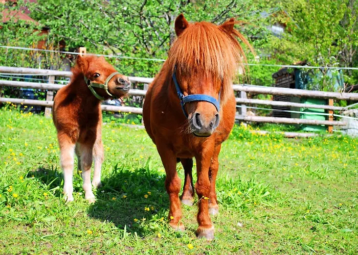 Apartamento Obergruberhof *