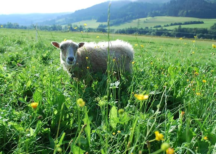 欧本库培霍夫公寓 *