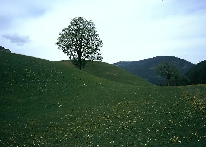 Apartamento Obergruberhof *